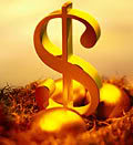Financial Planner - Nest Egg